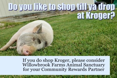 Kroger Community Rewards - Walter Resting